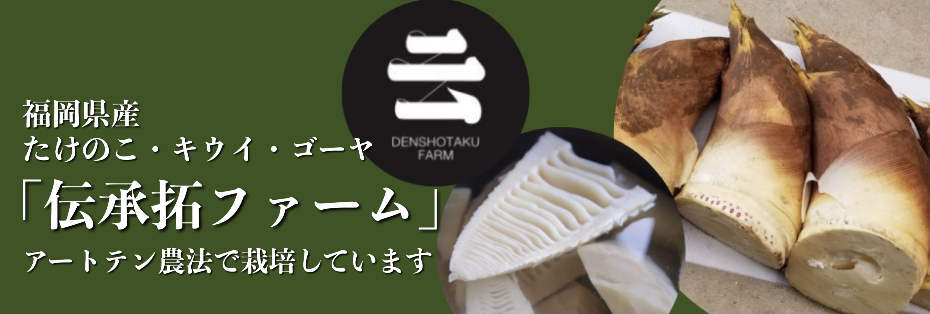 国産たけのこ通販の 伝承拓ファーム 福岡県産たけのこ キウイ ゴーヤ栽培 アートテン農法栽培 また当園では農業体験希望者を随時 募集しています
